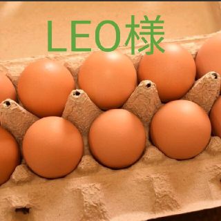 LEO様専用　平飼いたまご50個(野菜)