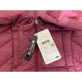 Eddie Bauer - 最終セール価格 新品 エディーバウアーレディース ...