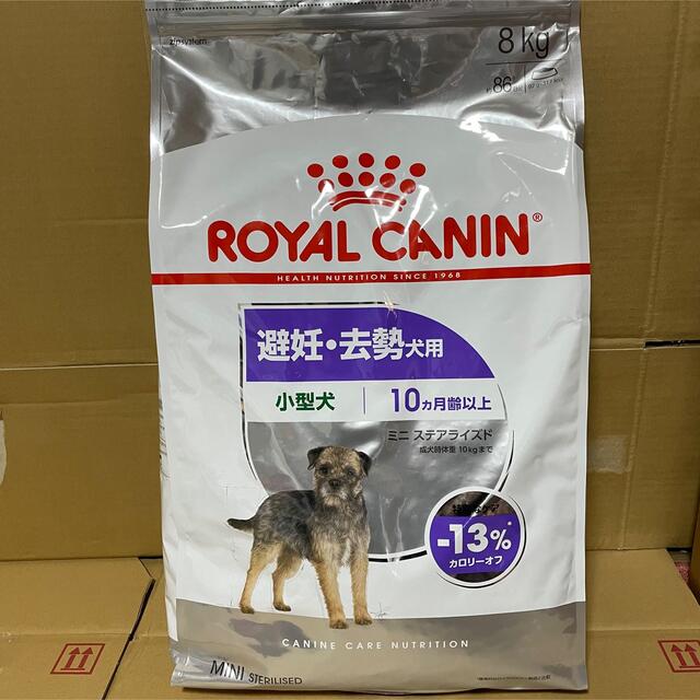当季大流行 ロイヤルカナン ミニステアライズド 避妊 去勢犬用 小型犬