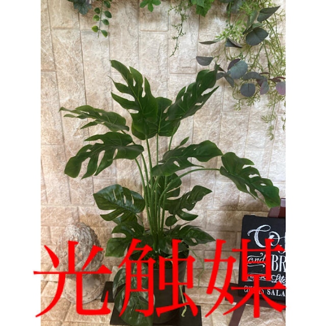 光触媒　人工観葉植物　ウォールグリーン　フェイク　アレンジ　pモンステラ