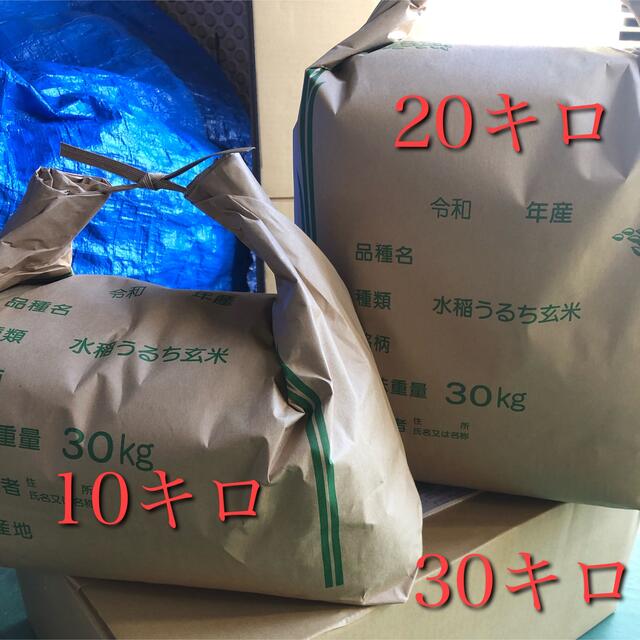 令和3年産】長野県コシヒカリ30キロ白米 食品/飲料/酒 食品 米/穀物