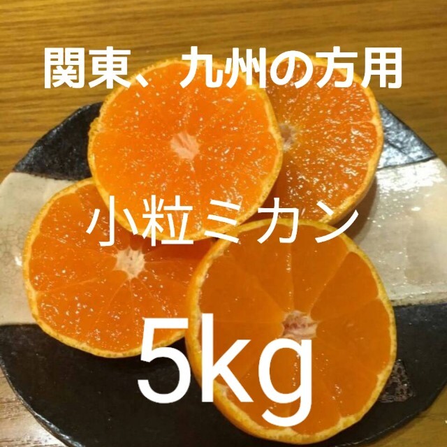 【関東、九州の方用】小粒ミカン5kg 食品/飲料/酒の食品(フルーツ)の商品写真