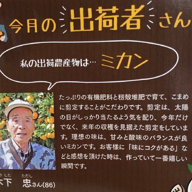 【関東、九州の方用】小粒ミカン5kg 食品/飲料/酒の食品(フルーツ)の商品写真