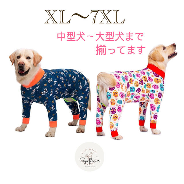 ○ Flower 様　　専用　 その他のペット用品(犬)の商品写真