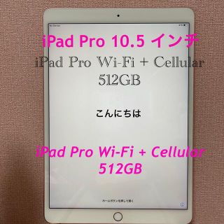 アイパッド(iPad)の美品　iPad Pro 10.5  512GB Wi-Fi+Cellular (タブレット)