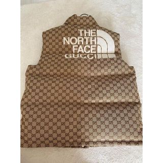 グッチ(Gucci)のグッチノースフェイス　GUCCI THE NORTH FACE ダウン(ダウンジャケット)