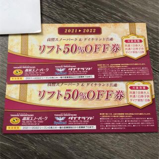 高鷲スノーパーク＆ダイナランド　リフト50%OFF券(スキー場)