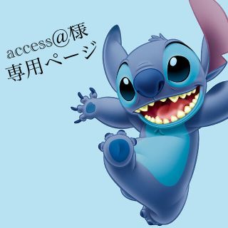 access@様専用ページ(キーホルダー)