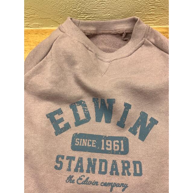 EDWIN(エドウィン)の犬　新品　服　EDWINコラボ ハンドメイドのペット(ペット服/アクセサリー)の商品写真