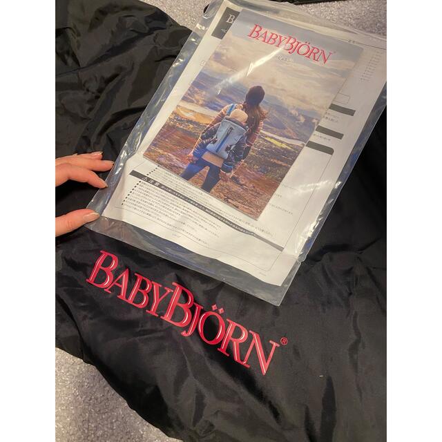 BABYBJORN(ベビービョルン)のベビービョルン　メッシュ　バウンサー キッズ/ベビー/マタニティのキッズ/ベビー/マタニティ その他(その他)の商品写真