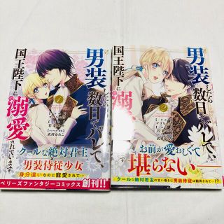 男装したら数日でバレて、国王陛下に溺愛されています ２(その他)