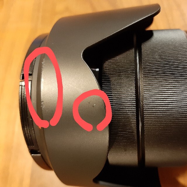 SONY E PZ 18-105mm F4 G OSS SELP18105G 6