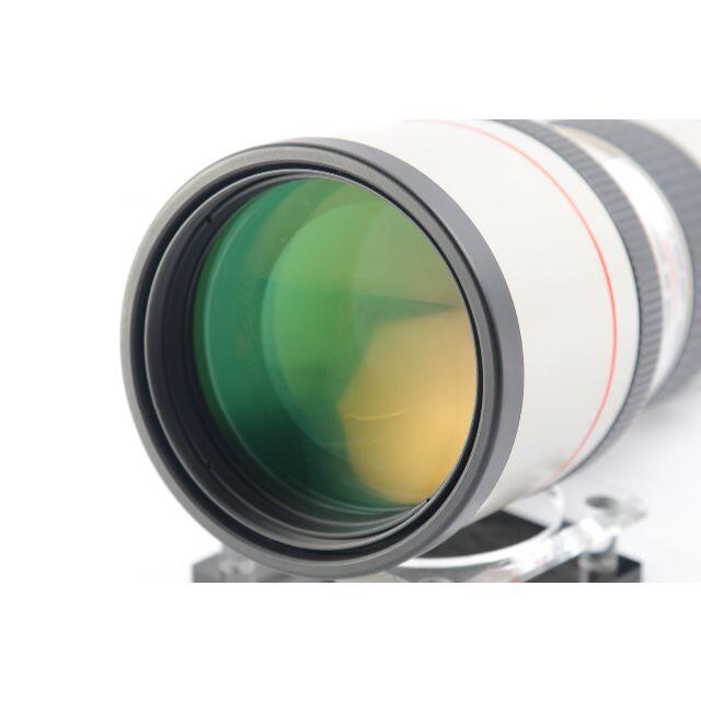 EF300mm F4L USM 元箱付属一式 おまけ付き www.krzysztofbialy.com EF300mm F4L USM 元箱付属一式 おまけ付き