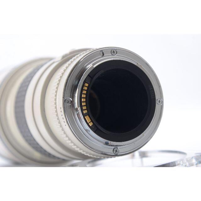 EF300mm F4L USM 元箱付属一式 おまけ付き www.krzysztofbialy.com EF300mm F4L USM 元箱付属一式 おまけ付き