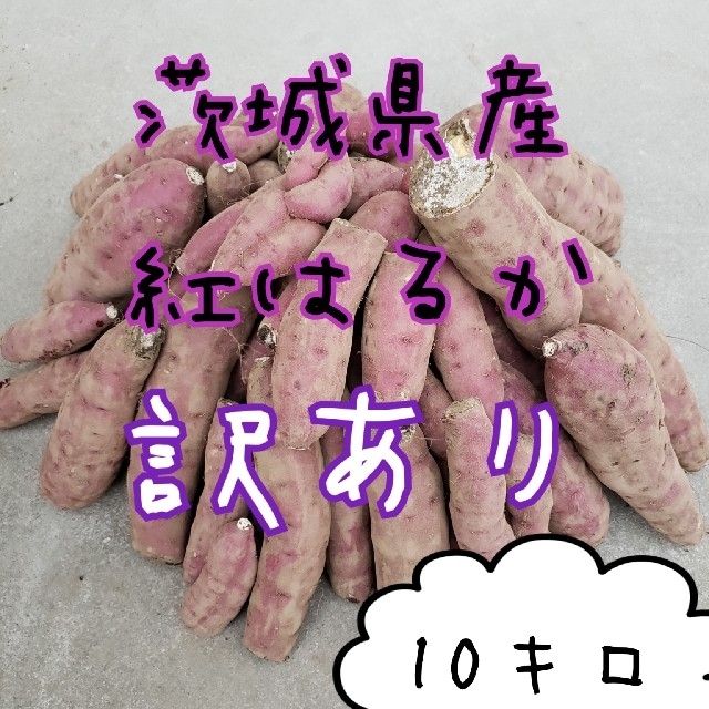 訳あり　紅はるか　10キロ　茨城県産　令和３年　さつま芋　サツマイモ　お芋 食品/飲料/酒の食品(野菜)の商品写真