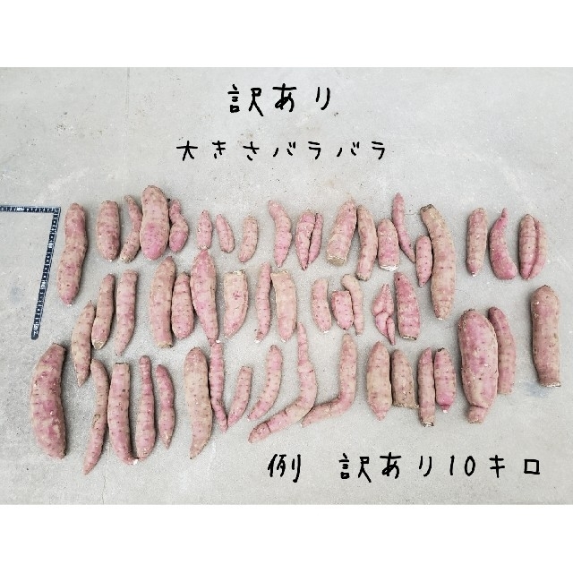 訳あり　紅はるか　10キロ　茨城県産　令和３年　さつま芋　サツマイモ　お芋 食品/飲料/酒の食品(野菜)の商品写真