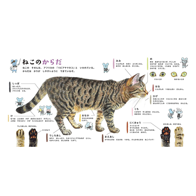 白泉社 - もこ様専用🐱ねこのずかん 絵本の通販 by なちゃそ's shop