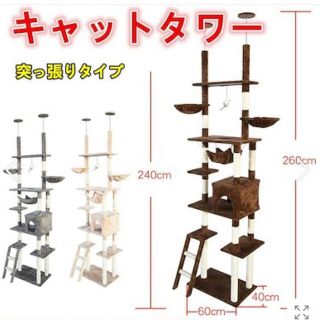 キャットタワー 突っ張り型 おしゃれ スリム 安定感 260cm つっぱり 大型(猫)