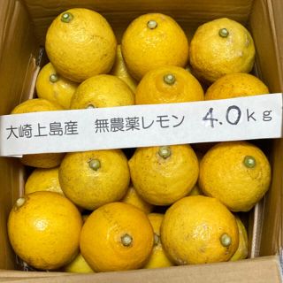 広島県大崎上島産無農薬レモン　4.0kg(フルーツ)