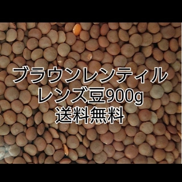 Lentil　レンズ豆900g　Brown　乾燥豆