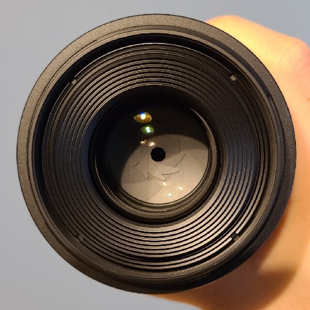 Canon レンズ RF100F2.8 L MACRO IS USM