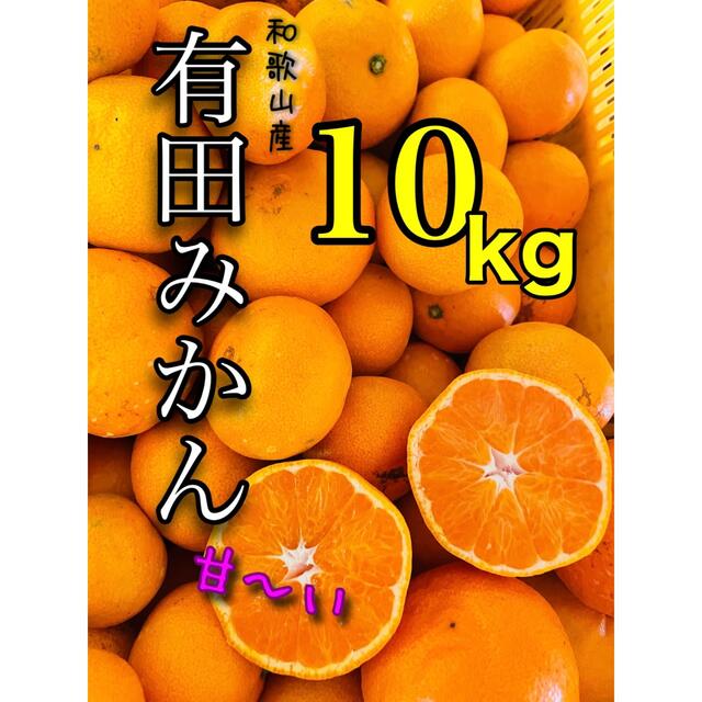 晩生　和歌山有田みかんMSサイズ10キロ 最終品 食品/飲料/酒の食品(フルーツ)の商品写真