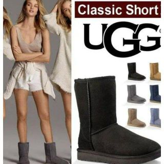 超美品✨UGG✨22cm～✨CLASSIC クラシック ショートブーツ✨グレー(ブーツ)