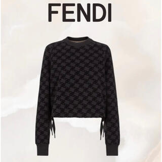 フェンディ(FENDI)のFENDI  ブラックジャージースウェットシャツ(トレーナー/スウェット)