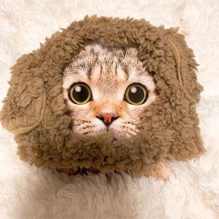 ペット被り物　もこもこ　小型犬　猫　動物(ペット服/アクセサリー)