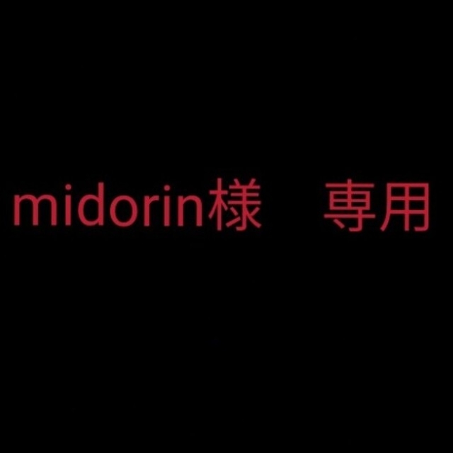 【midorin様　専用】ソーラーガーデンライトセット インテリア/住まい/日用品のライト/照明/LED(その他)の商品写真