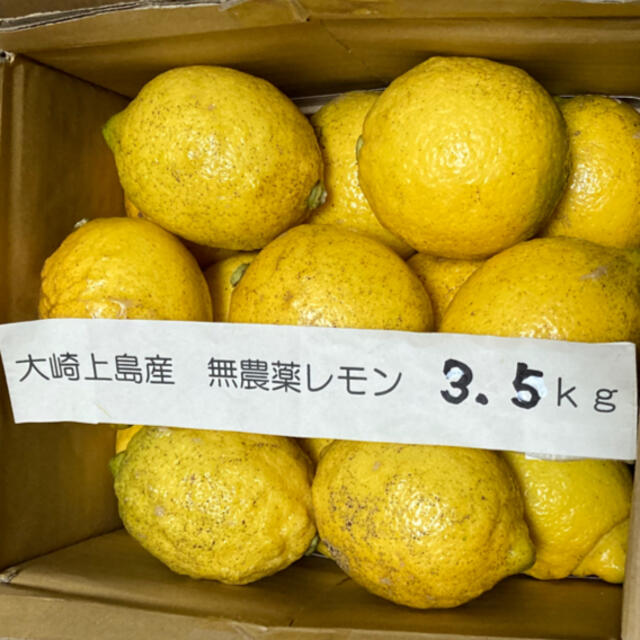 広島県大崎上島産無農薬レモン　3.5kg 食品/飲料/酒の食品(フルーツ)の商品写真