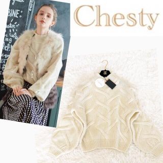 チェスティ(Chesty)の【chesty】新品タグ付 FRNCH ケーブルニット ボリュームスリーブ(ニット/セーター)