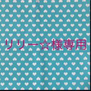 リリー☆様専用♪(外出用品)