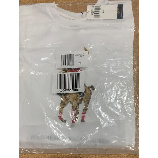 Polo ベア グラッフィク Tシャツ