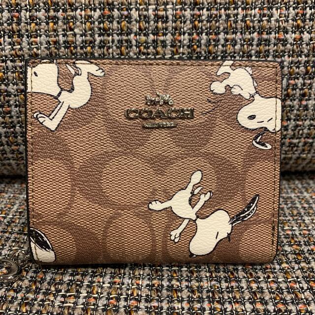 COACH  折財布　コーチxピーナッツ限定コラボ　 スヌーピー　 白