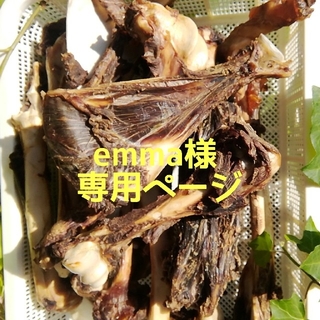 emma様専用ページ(犬)