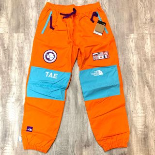 ザノースフェイス(THE NORTH FACE)の日本未発売モデル ノースフェイス アンタークティカ TAE パンツ(その他)