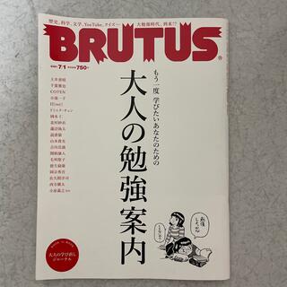 マガジンハウス(マガジンハウス)のBRUTUS (ブルータス) 2021年 7/1号(その他)