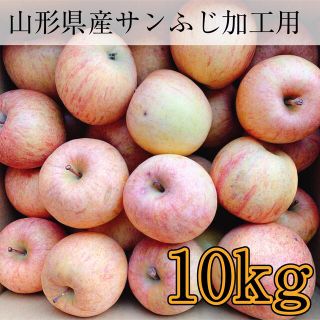 27 山形県産 加工用サンふじ10kg 訳あり家庭的(フルーツ)