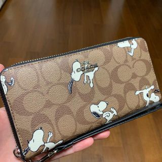 コーチ(COACH)の本体のみ　長財布　ブラウンスヌーピーコラボ(財布)