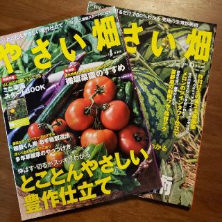 やさい畑 2021年 4月号と2020年6月号(その他)