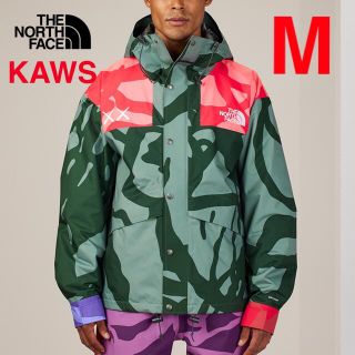 THE NORTH FACE - KAWS NORTH FACE MOUNTAIN JACKET