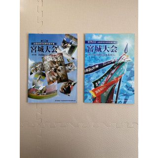 高校野球　全国高等学校野球選手権大会宮城大会　92回　93回　パンフレット(記念品/関連グッズ)