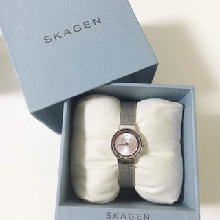 スカーゲン(SKAGEN)のSKAGEN SKW2184(腕時計)