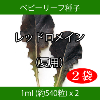 ベビーリーフ種子 B-07 レッドロメイン（夏用） 1ml 約540粒 x 2袋(野菜)