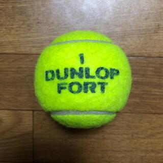 ダンロップ(DUNLOP)のダンロップテニスボール　1個　送料無料(ボール)