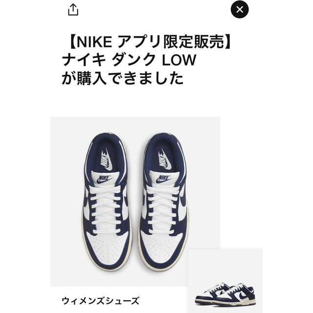 NIKE(ナイキ)のNIKE DUNK LOW ヴィンテージネイビー WMNS メンズの靴/シューズ(スニーカー)の商品写真