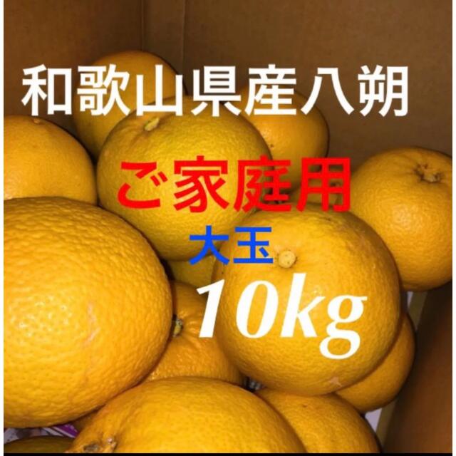 和歌山産八朔大玉ご家庭用 10Kg 食品/飲料/酒の食品(フルーツ)の商品写真