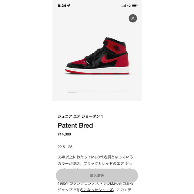 Nike GS Air Jordan 1 High OG 25cm靴/シューズ