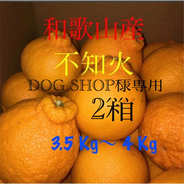 和歌山産不知火3.5〜 4Kg2箱 食品/飲料/酒の食品(フルーツ)の商品写真